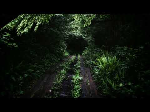 Berghain techno set december 2018 - C. Dottori