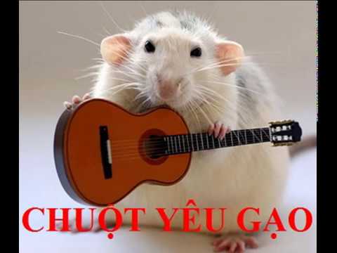 [Karaoke Tiếng Anh- Singing Practice] Chuột Yêu Gạo Mice Love Big Rice - Gerrard