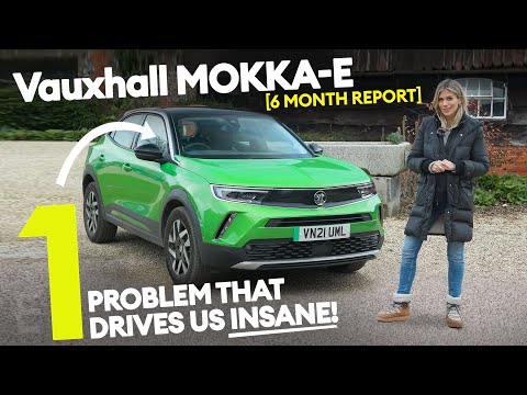 Vauxhall Mokka-E - One problem that drives us INSANE after 6 months! Long-term review / Electrifying