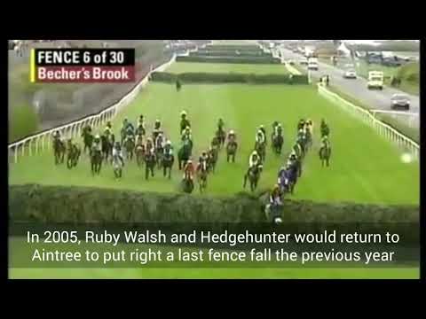 GRAND NATIONAL MEMORIES: 2005 HEDGEHUNTER
