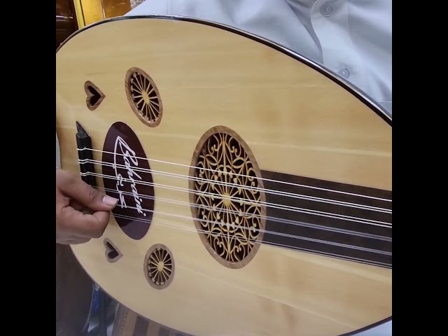 عود بحريني ابو قلبين