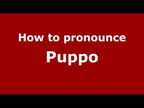 How to pronounce Puppo