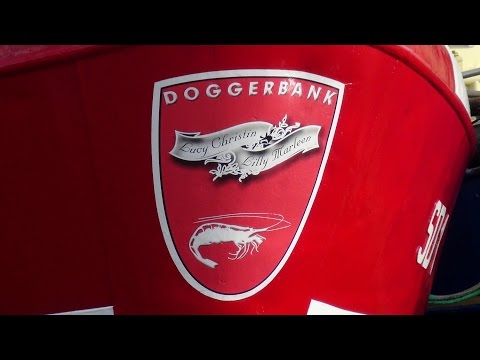 Duitsekotters en sch-42 garnalen lossen scheveningen 10-11-2016