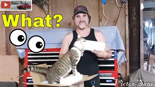 Shop Cat Approved Garage LED Emergency Lights