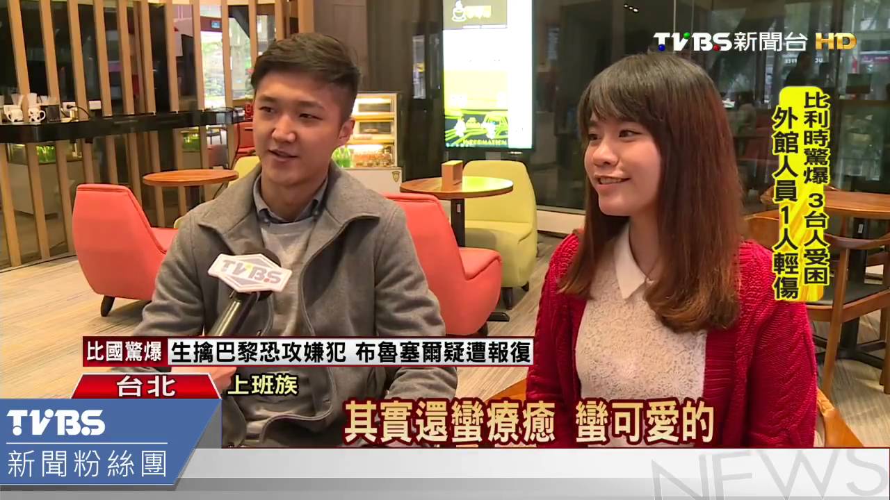 可愛杯緣子超療癒 藝人模仿掀風潮