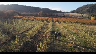 Travel Oregon Feature on Runcible Cider and our Wonderful Town!