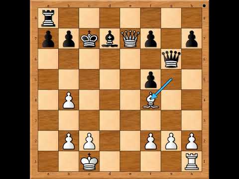 Nedodirljiva Dama je mirno čekala pravi trenutak za napad 🤣💥🧨💣💥👸 TISDALL vs LEE # 2429