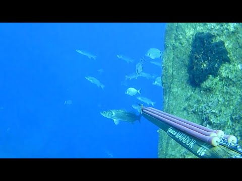 PESCASUB: SORPRESE DIETRO LE PARETI..