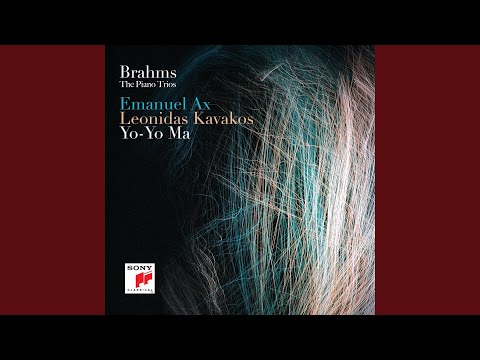 Piano Trio No. 1 in B Major, Op. 8: Allegro con brio