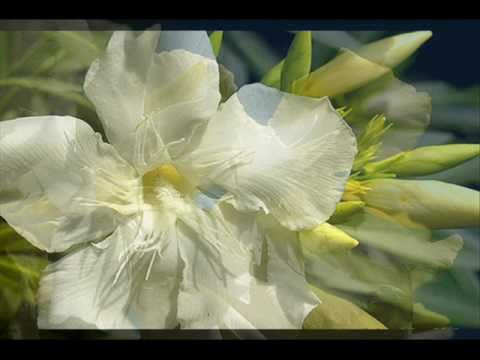 Thomas Newman - WHITE OLEANDER (2002) - Soundtrack Suite