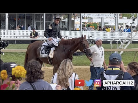 Rattle N Roll Wins Photo Finish in Historic 2023 Pimlico Special