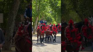 Sevilla, Spain | Andalucia #sevilla #sevilleshorts #andalucia #spain  #andalusia  #shorts