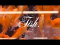 the flaming lips - the WAND | music video