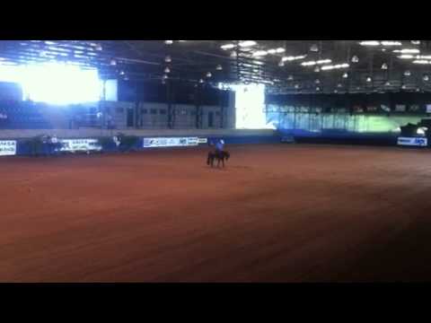 download lagu mp3 mp4 Gizmo Gizmo 2012, download mp3 Gizmo Gizmo 2012 free download mp3, download mp3 Gizmo Gizmo 2012