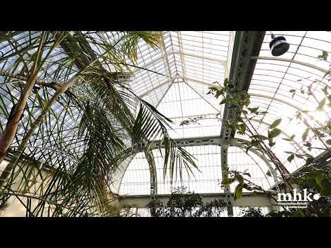 Großes Gewächshaus | Episode 1: Geschichte des Hauses