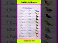 10 Birds Name | Birds Name in English and Hindi | Birds Name | पक्षियों के नाम | #shorts #birdsname
