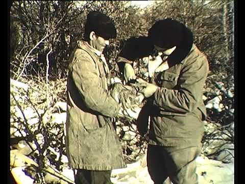 De delai lo rivatèl (La Borrèia del Fèl)