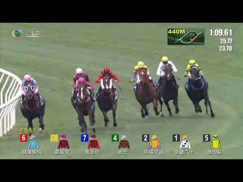 HKJC董事盃 Stewards' Cup 一級賽 G1 1600m 2022-01-23 夏威夷 WAIKUKU 沙田馬場 Shatin Racecourse