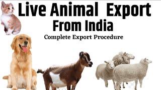 How to Export Live Animal From India | Goat, Sheep, Dog, Cat, Horse Export Procedure |#exportimport