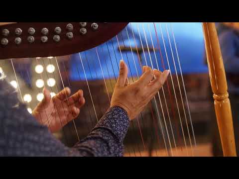 Pista llanera INSTRUMENTAL (Para pareja de baile) #JOROPO