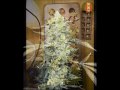 Smoking weed all day green 