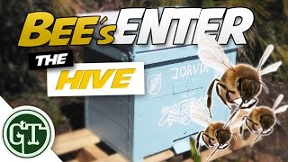 Bees Entering Empty Hive: Has a Swarm Moved In? │ Journey to Beekeeping