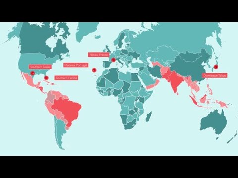 The Global Burden of Dengue_Takeda