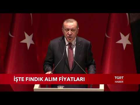 download lagu mp3 mp4 Findik Fiyati Giresun, download lagu Findik Fiyati Giresun gratis, unduh video klip Findik Fiyati Giresun