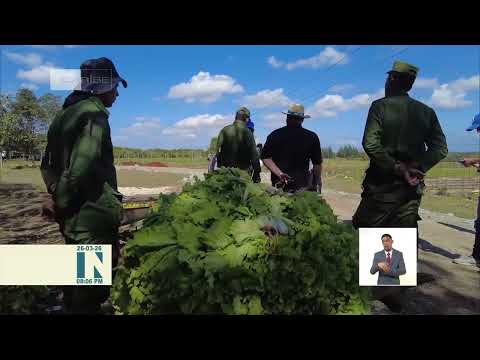 Vicepresidente de Cuba chequea programa de la agricultura en La Habana