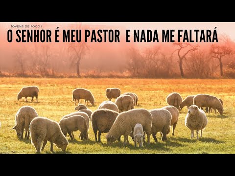 O Senhor é o meu Pastor: Não temerei nenhum mal, pois comigo tu estás.