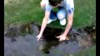 BB gun made into a squirt gun