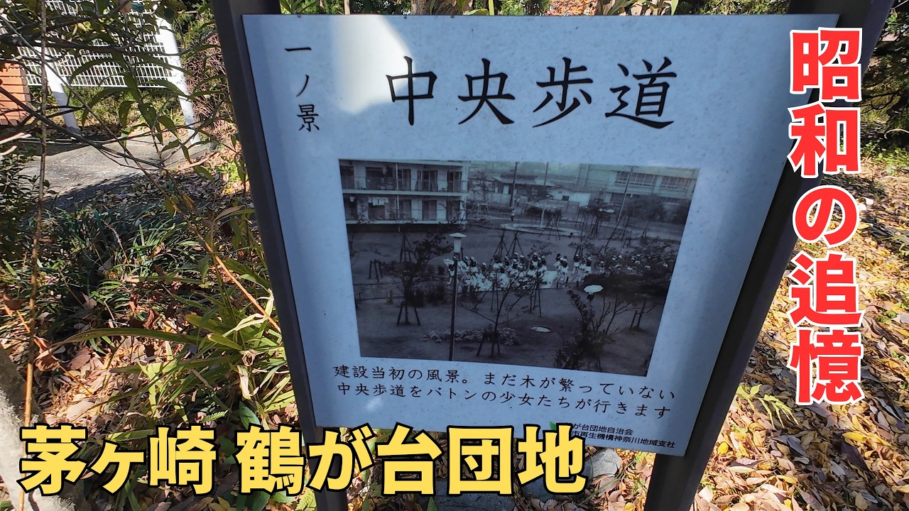 【昭和の追憶】茅ヶ崎鶴が台団地～記憶を紡ぐ場所