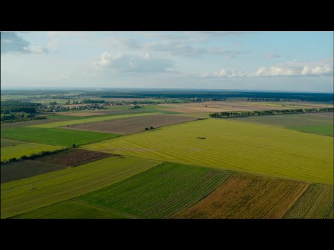 Oglądamy "Polska z góry"! | Wielkopolska | skrót odcinka | Planete+