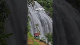 Download lagu Story wa !!! #viral #fyp #shorts #status #storywa #story mp3