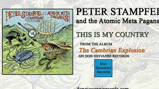 Peter Stampfel - This Is My Country (Official Audio)