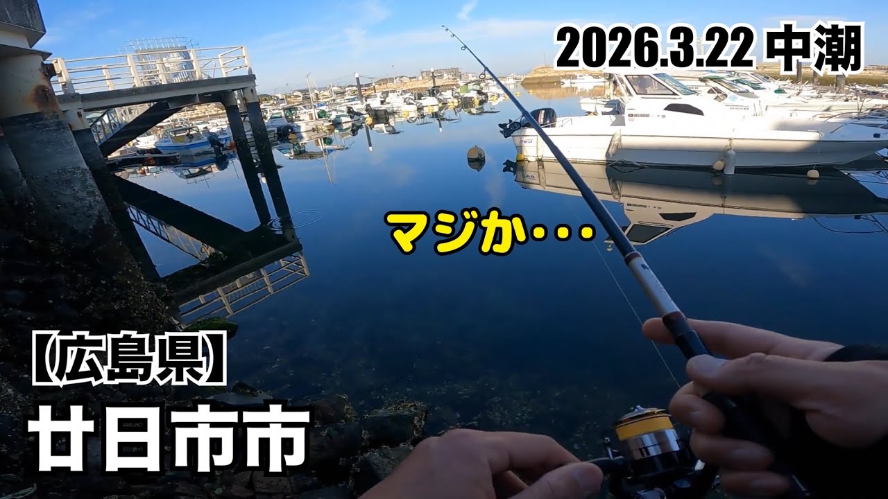 【広島釣り】根魚の楽園でカスリもしなかったデイゲーム･･･《2026.3.22・中潮》