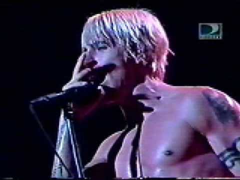 Red Hot Chili Peppers - Organic Anti-Beat Box Band (live)