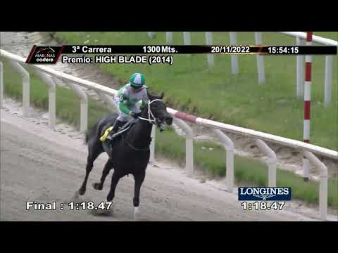 221120 c03 REGAL FORTUNE (BRZ)