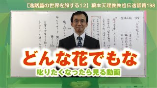 【逸話篇の世界を旅する12】茶木谷吉信・正代分教会長「どんな花でもな」