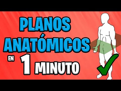 ✅ ANATOMICAL DRAWINGS in 1 MINUTE 😱