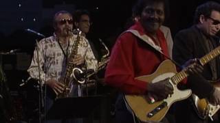Albert Collins - &quot;Mr. Collins, Mr. Collins&quot; [Live from Austin, TX]