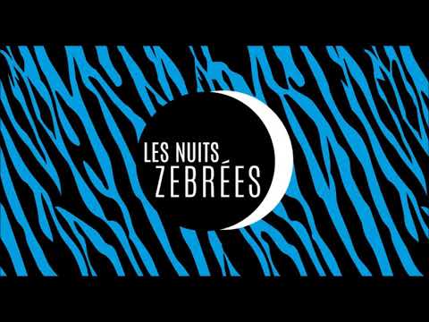 Fat Freddy's Drop - Live "Les Nuits Zébrées" (2005)
