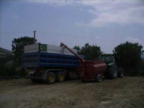 [Sant'Omero] Trebbiatura