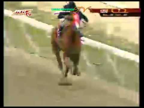 LA RINCONADA 7 CARRERA DOMINGO 18 DE ENERO DEL 2015