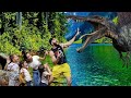 Pangea Land Of The DINOSAURS Ernie S Journey