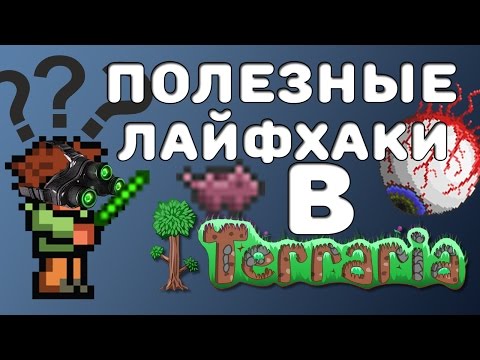 ТОП 5 САМЫХ ПОЛЕЗНЫХ ЛАЙФХАКОВ В ТЕРРАРИИ!