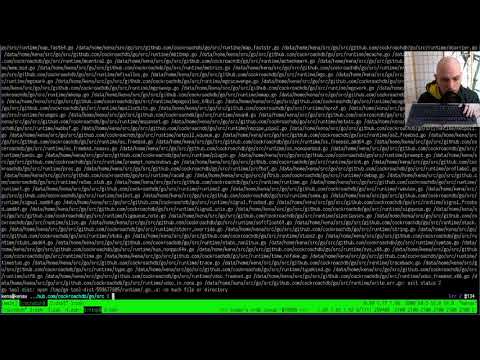 Watch me Work #17 | Tweaks to the Go runtime