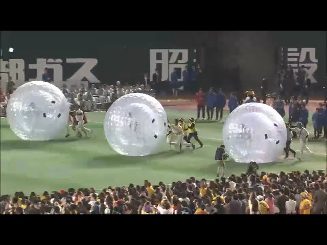 【ホークス・ファンフェスティバル】熱男No.1は誰!? 決勝戦・“熱大玉転がし”でヒートアップ!! 2015/11/23