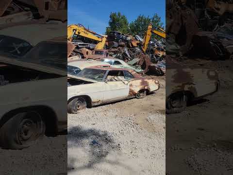 cleaning up vintage cars junkyard #automobile #abandon #date #truck #calendar