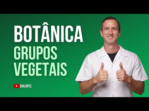 AULA 01 - EVOLUÇÃO DOS GRUPOS VEGETAIS - BIOLOPES